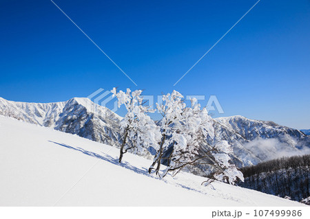 【福井県】快晴のスキー場『スキージャム勝山』 【福井県】快晴のスキー場『スキージャム勝山』 107499986