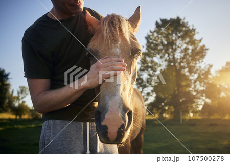 Man stroking head of therapy horse. 107500278
