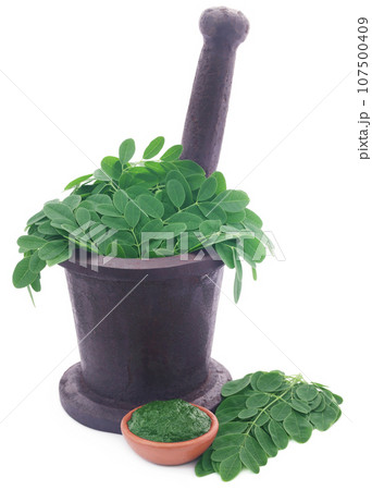 Edible moringa leaves in a vintage mortar with ground paste 107500409