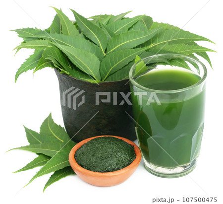 Medicinal neem leaves with extract and ground paste Medicinal neem leaves with extract and ground paste 107500475