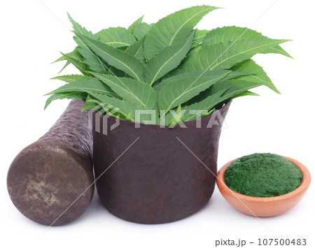Medicinal neem leaves with ground paste 107500483
