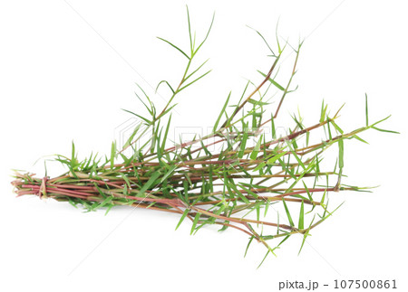 Bunch of Grass Bunch of Grass 107500861