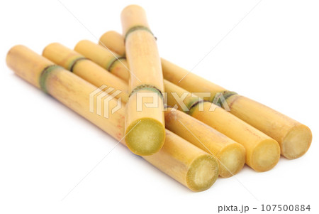 Pieces of sugarcane Pieces of sugarcane 107500884