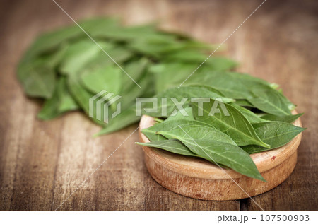Ayurvedic henna leaves 107500903