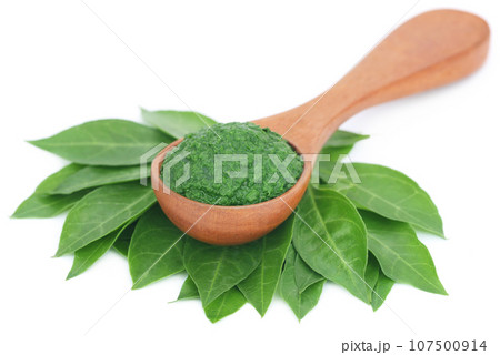 Ayurvedic henna leaves mashed and whole Ayurvedic henna leaves mashed and whole 107500914