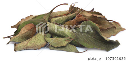 Dry holy basil Dry holy basil 107501026