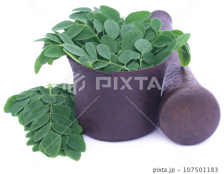 Edible moringa leaves in a vintage mortar 107501183