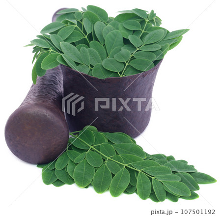 Edible moringa leaves in a vintage mortar 107501192