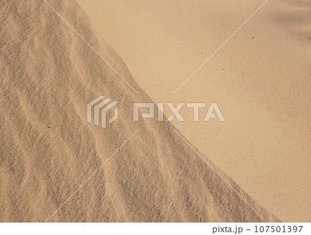 砂浜 107501397