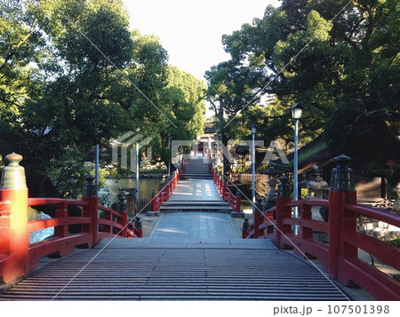 早朝の太宰府天満宮境内 107501398