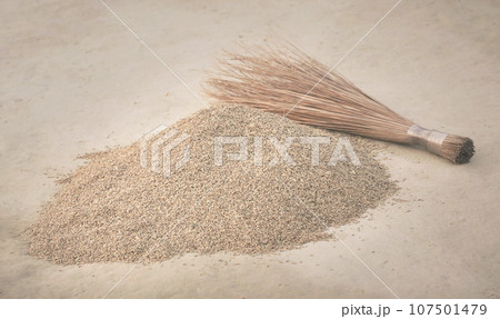 Newly harvested paddy seeds Newly harvested paddy seeds 107501479