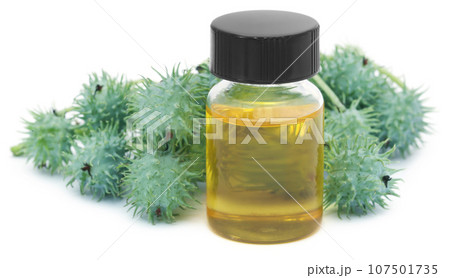 Castor oil with green beans 107501735