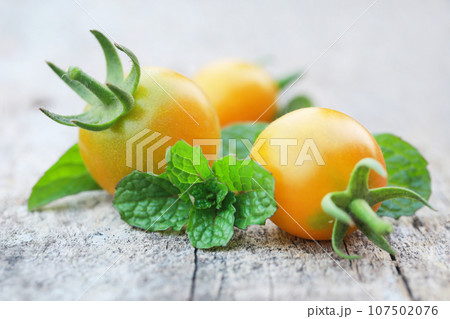 Fresh organic tomatoes with mint leaves 107502076