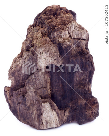 Bogwood Bogwood 107502415