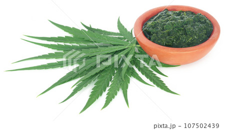 Green and mashed leaves of medicinal cannabis 107502439