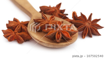 Aromatic star anise Aromatic star anise 107502540