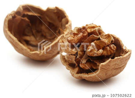 Walnut 107502622