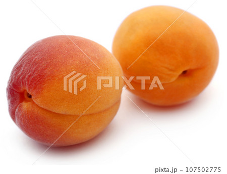 Fresh apricots Fresh apricots 107502775