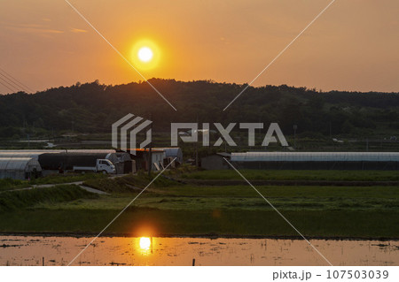 Bicycle path along the Seomjingang River Bicycle path along the Seomjingang River 107503039