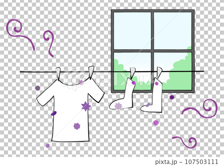 陽光明媚的日子在室內晾曬衣服的插圖-半乾的氣味和細菌的生長 107503111