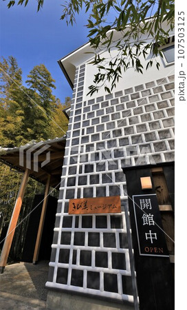 倉敷美観地区・きび美ミュージアム(岡山県倉敷市) 倉敷美観地区・きび美ミュージアム(岡山県倉敷市) 107503125