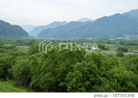 Bicycle path along the Seomjingang River 107503398