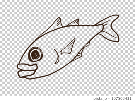散裝竹莢魚 107503431