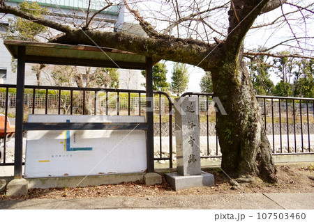 延勝寺跡(京都市左京区岡崎) 延勝寺跡(京都市左京区岡崎) 107503460