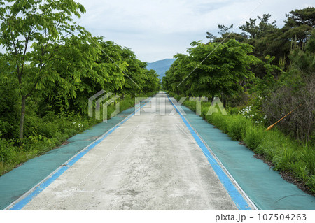 Bicycle path along the Seomjingang River 107504263