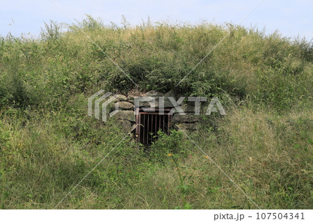 上庄司原1号古墳 107504341