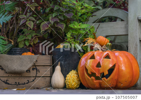 ハロウィンのかぼちゃ 107505007