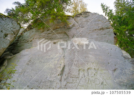 Sand cliff Sietiniezis on the bank of the Gauja river. Gauja National Park, Latvia 107505539