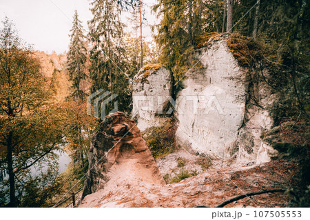 Sand cliff Sietiniezis on the bank of the Gauja river. Gauja National Park, Latvia 107505553