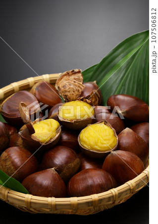 ぽろたん 107506812