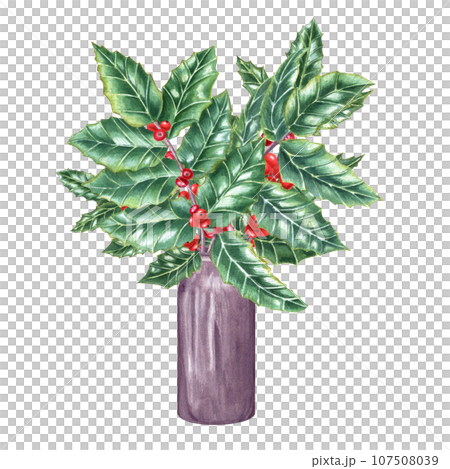 Bouquet of European holly branches in ceramic vase. Brilliant green ilex leaves with bunch of red berries. For interior decoration, design, comfort. Watercolor illustration 107508039