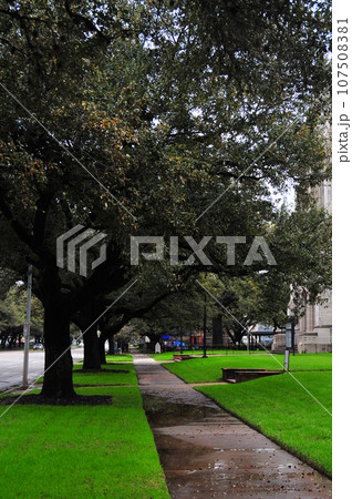 テキサス州ヒューストンの街角 107508381