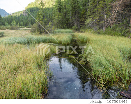 Amazing blue geyser lake in the mountains of Altai, Russia 107508445