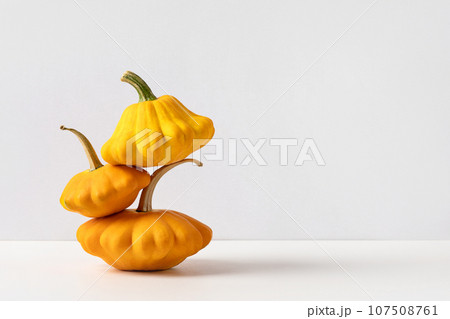 Tower of bush pumpkins on gray background for Thanksgiving or Halloween. Stack of vegetables set. Orange pumpkins composition. Halloween, design, autumn. Nature concept 107508761