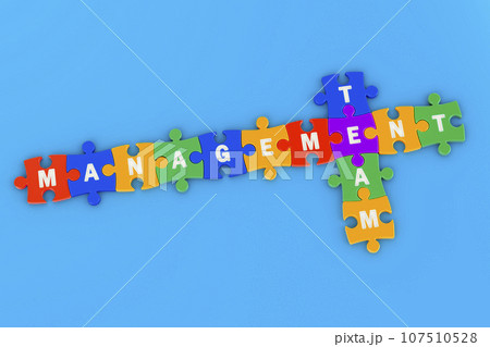 Management and team, business crossword, 3D rendering 107510528