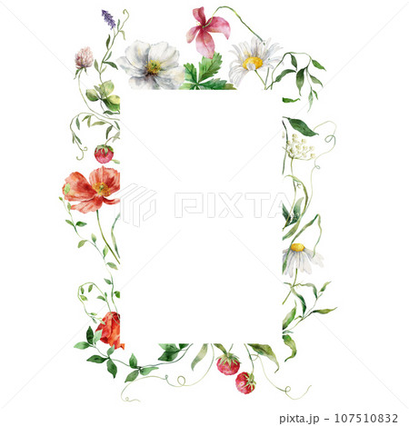 Watercolor meadow flowers frame of poppies, chamomiles and cornflowers. Hand painted floral illustration isolated on white background. For design, print, fabric or background. Watercolor meadow flowers frame of poppies, chamomiles and cornflowers. Hand painted floral illustration isolated on white background. For design, print, fabric or background. 107510832