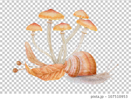Summer honey fungus, dried leaves, linden tree seeds, snail. Watercolor hand drawn realistic botanical illustration. Forest mushrooms for eco goods, natural herbal medicine, menu, vegetable shops 107510953