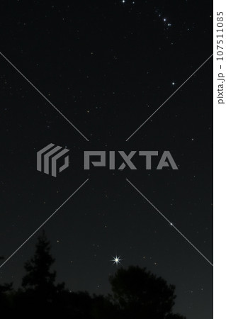 北杜市長坂町、南東の空に輝く樹上の星々。シリウスとオリオン座 北杜市長坂町、南東の空に輝く樹上の星々。シリウスとオリオン座 107511085