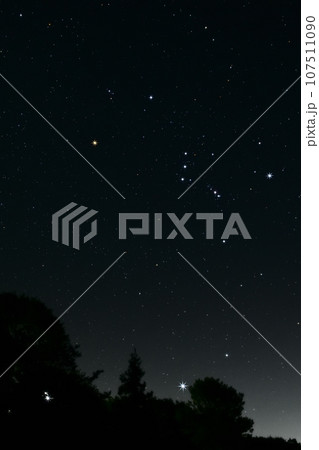 北杜市長坂町、南東の空に輝く樹上の星々。シリウスとオリオン座 107511090