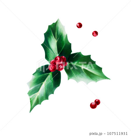 Realistic Holly Berry Icon Christmas Symbol Stock Illustration