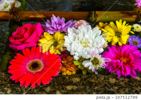 和心 花手水のおもてなし 和心 花手水のおもてなし 107512799