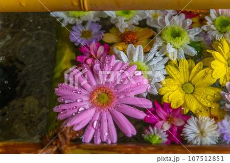 和心　花手水のおもてなし 107512851