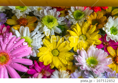 和心　花手水のおもてなし 107512852