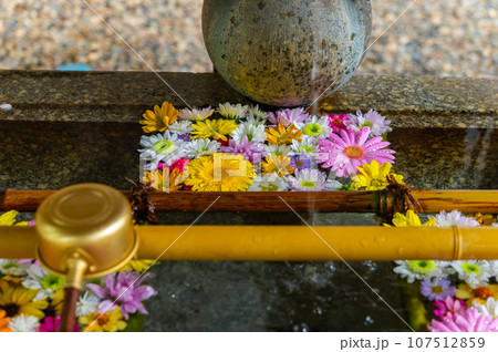 和心　花手水のおもてなし 107512859