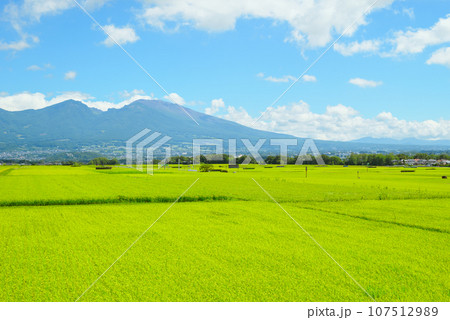 五郎兵衛新田と浅間山【佐久市甲】 107512989