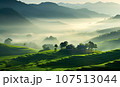 Japanese Countryside  107513044